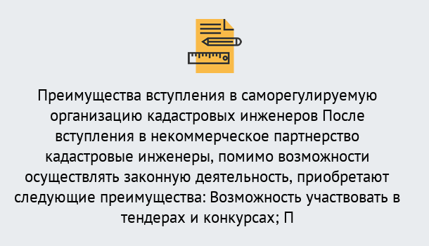 Почему нужно обратиться к нам? Кстово Что дает допуск СРО кадастровых инженеров?