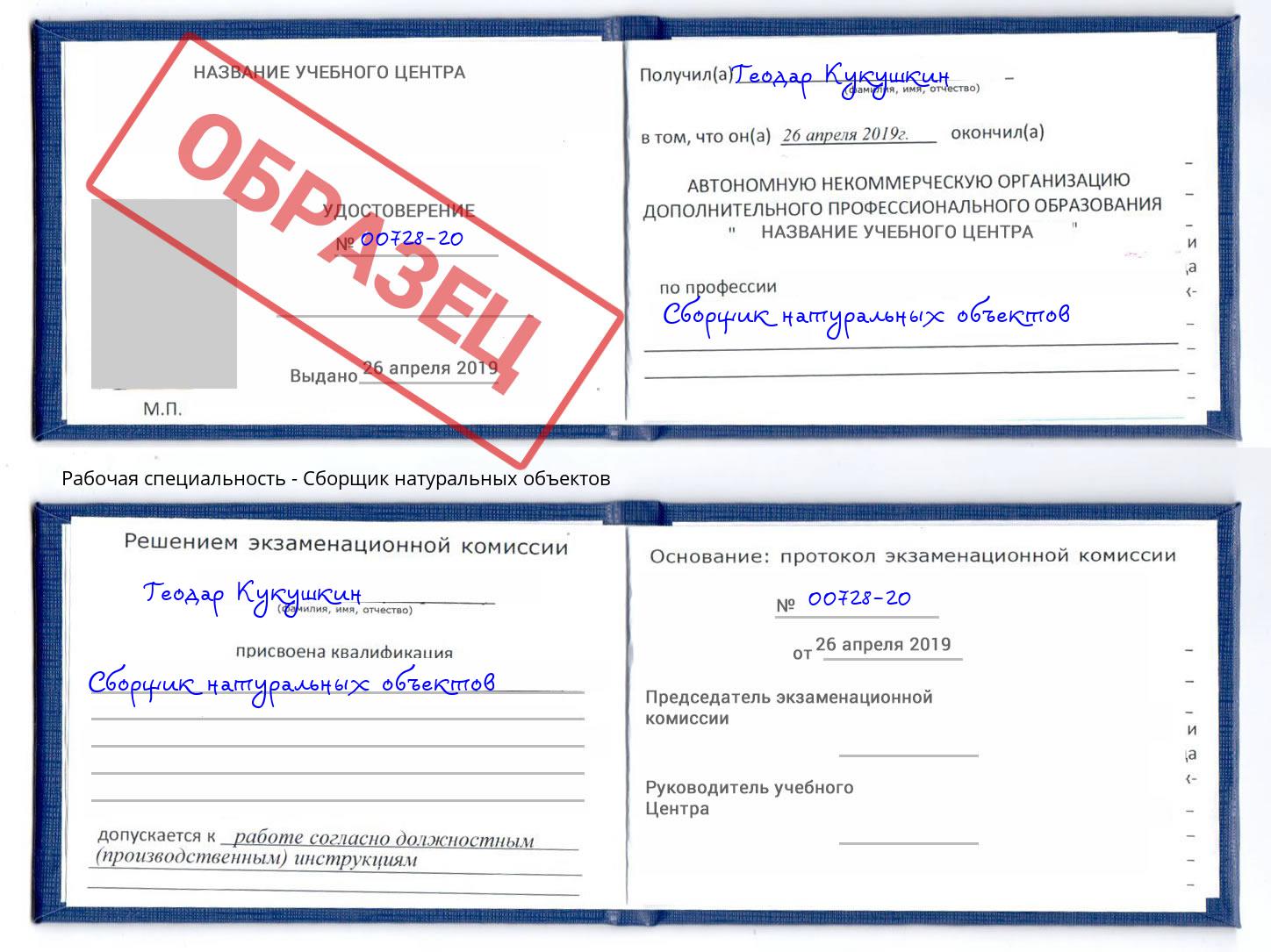 Сборщик натуральных объектов Кстово