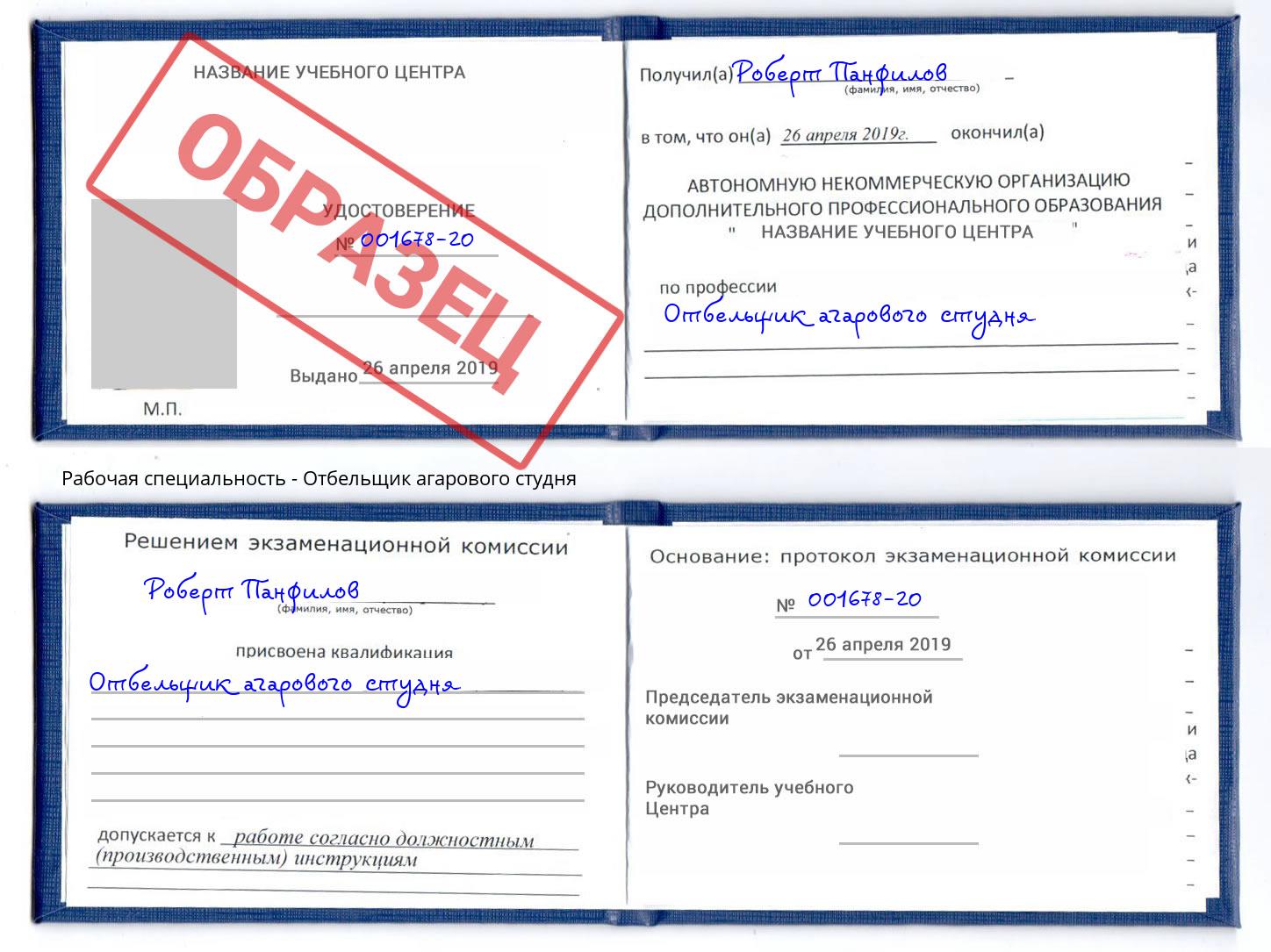 Отбельщик агарового студня Кстово