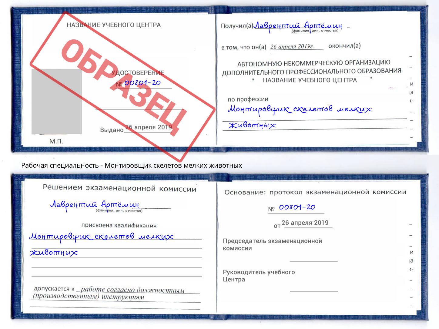 Монтировщик скелетов мелких животных Кстово