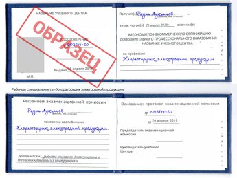 Обучение Хлораторщик электродной продукции