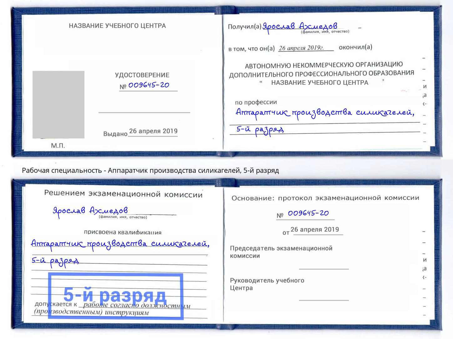 корочка 5-й разряд Аппаратчик производства силикагелей Кстово