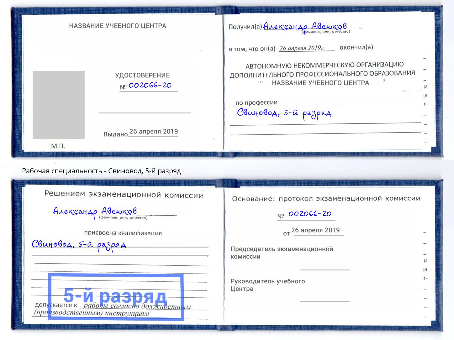корочка 5-й разряд Свиновод Кстово